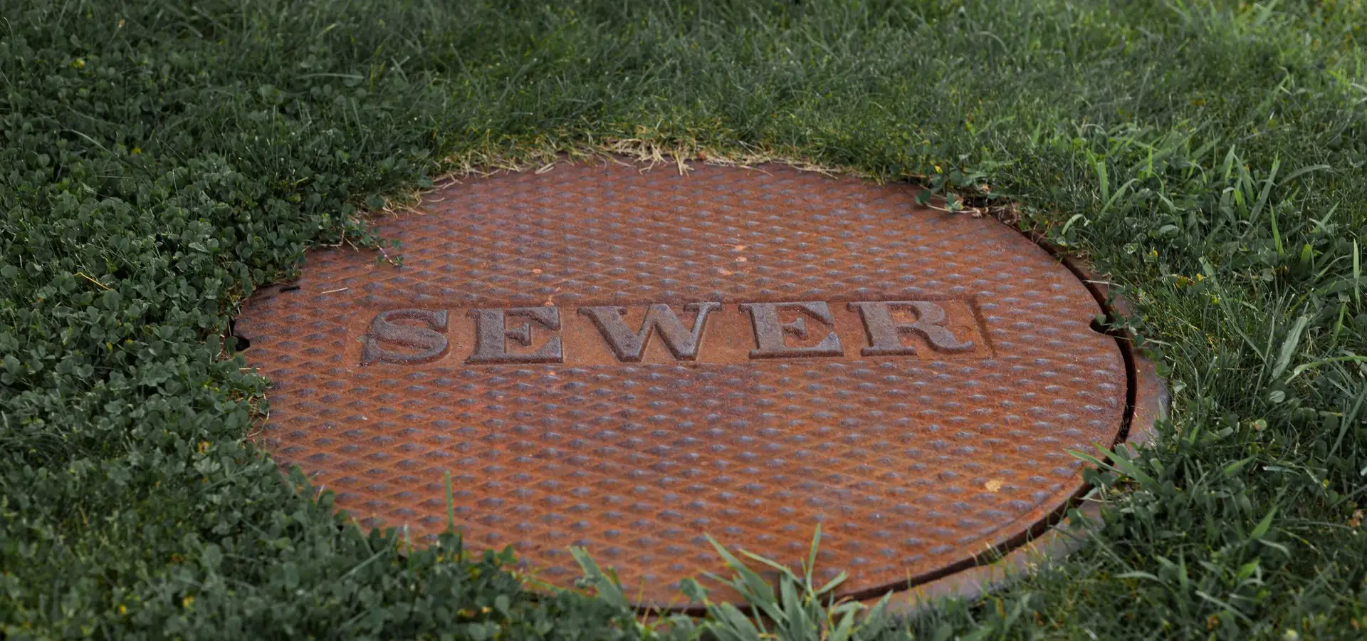 A rusty “SEWER” access cover set into a grass lawn